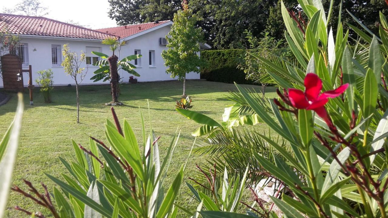 Chambres D'Hotes - Le Petit Bali Saint-Pandelon Exteriér fotografie